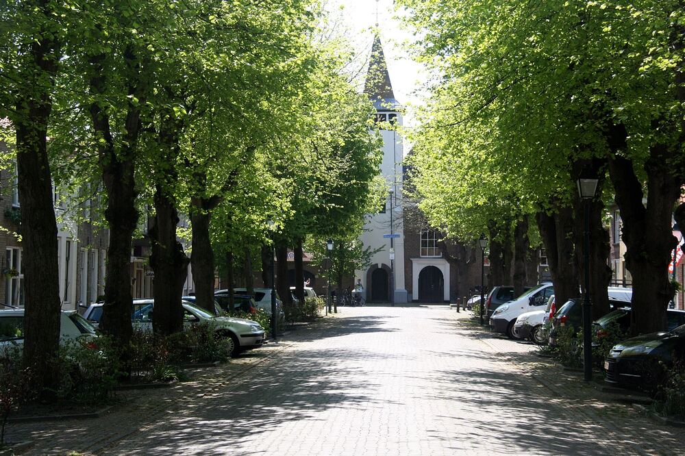 De met bomen omzoomde Voorstraat van Colijnsplaat met de kerktoren aan het eind